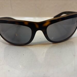 Ray-Ban Tortoise Frame Sunglasses